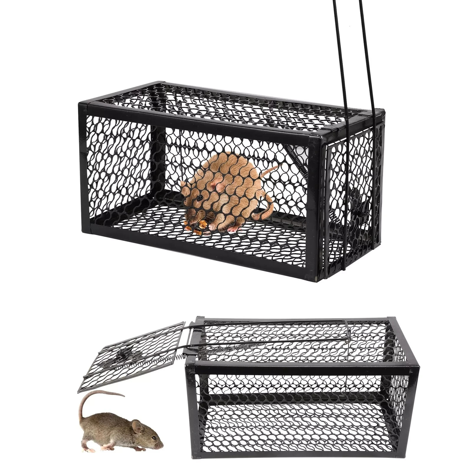 USA Mouse Trap Rat Trap Rodent Trap Live Catch Cage, Easy to Set Up and Reuse