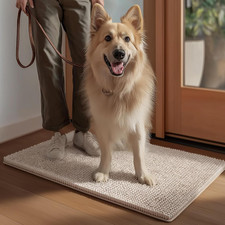 Dog Door Mat for Muddy Paws Indoor Front Doormat outside Entrance Quick Dry