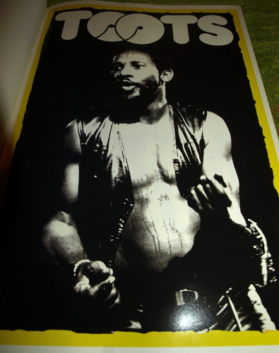 POP POSTER - TOOTS - LIVE - 16" x 11" - info to back - vgc