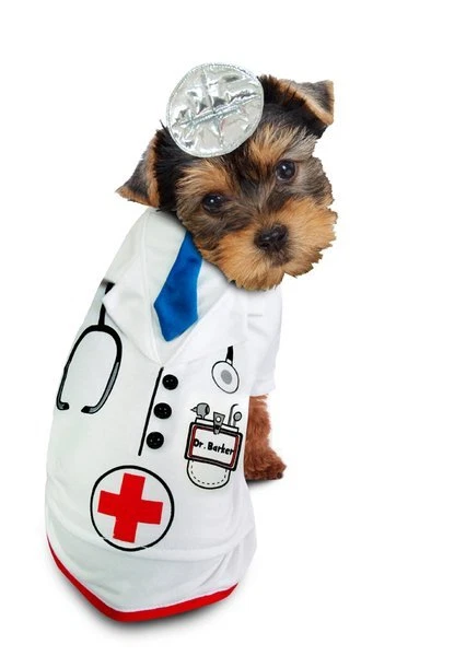 Medical Doctor Barker Dog Costume Dress Your Pup Like Your Favorite Physician