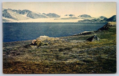Antique Norway Postcard NYALESUND Kingsbay Spitzbergen 1910s