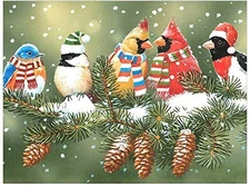 Paint by Numbers for Adults & Kids Oil Paint DIY Craft Paintings Art Set on C...