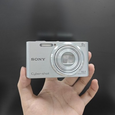SONY Cyber-shot Silver DSC-W730 16.1 MP Digital Camera 8x optical