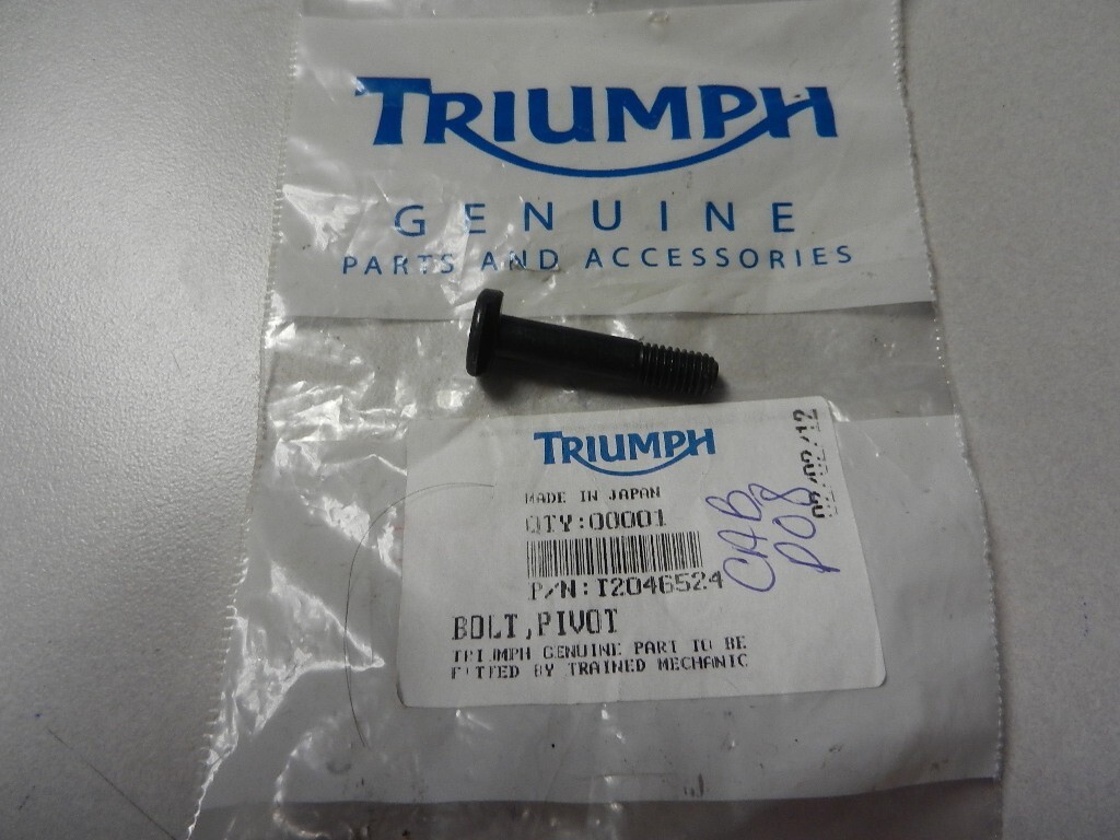 NOS Triumph Incomplete Pivot Bolt 2005-2007 Triple Speed 1050