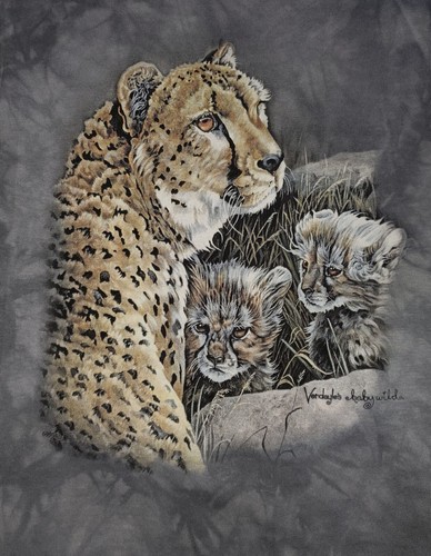 The Mountain Child Youth Med Cats at Home Unisex T-Shirt NH Gift Shop - Picture 2 of 7