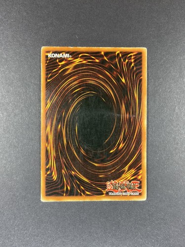 YuGiOh! Paladin of White Dragon - SKE-024 - Common - Unlimited - Picture 2 of 2