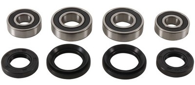 Pivot Works Front Wheel Bearing & Seal Kit (PWFWK-H11-420)