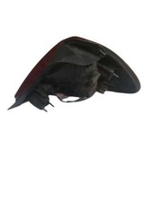 Used Left Tail Light Assembly Fits 2003 Ford Taurus Sdn Quarter Mounted Wcente