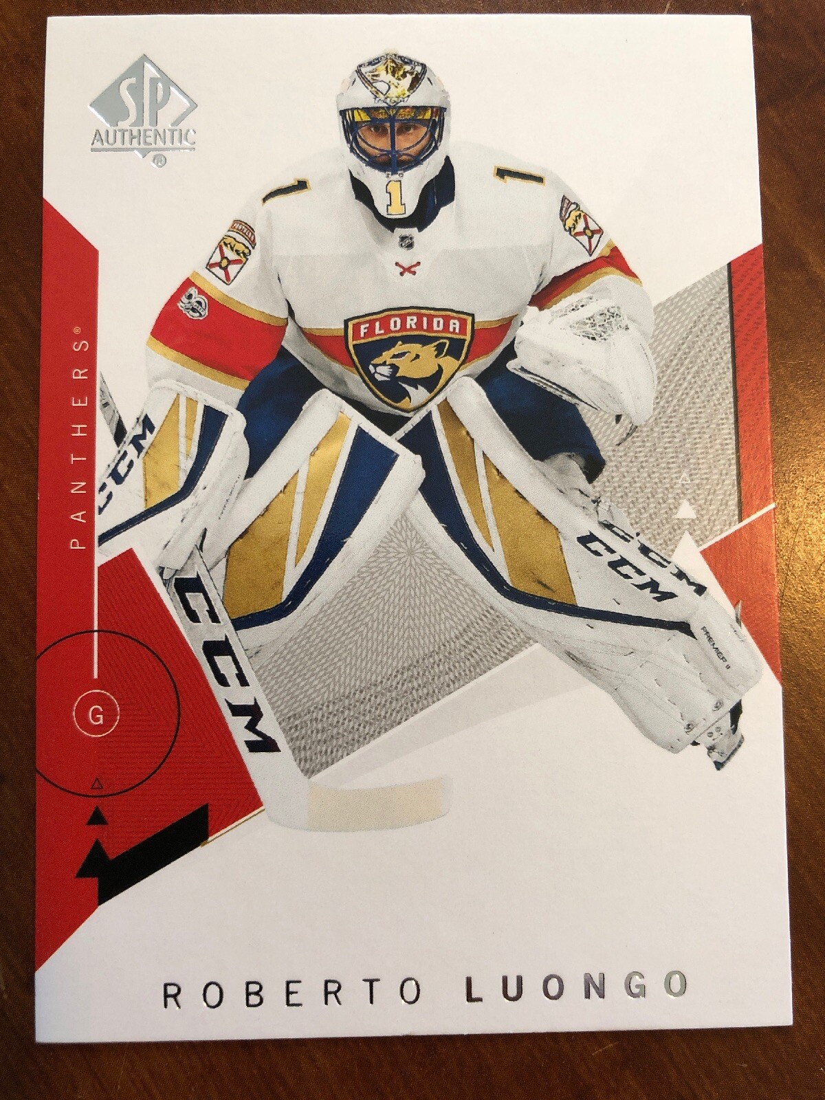 18-19 UD SP Authentic #61 Roberto Luongo