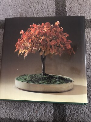 seltene bonsai samen Seedeo Japanische Blten- und Zierkirsche (Prunus serulata) Bonsai 25