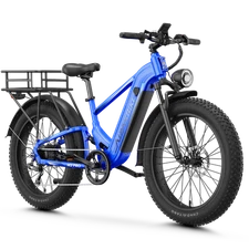 1800W E-Bike 48V Fat Tire Mountain Bike for Adult 110Nm High-Torque 7Speed 36MPH