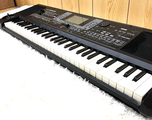 Korg Micro Arranger | eBay