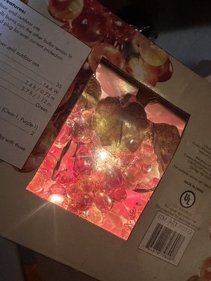Vintage Costco New Everstar Iridescent Grape Cluster String Lights- Rare Find
