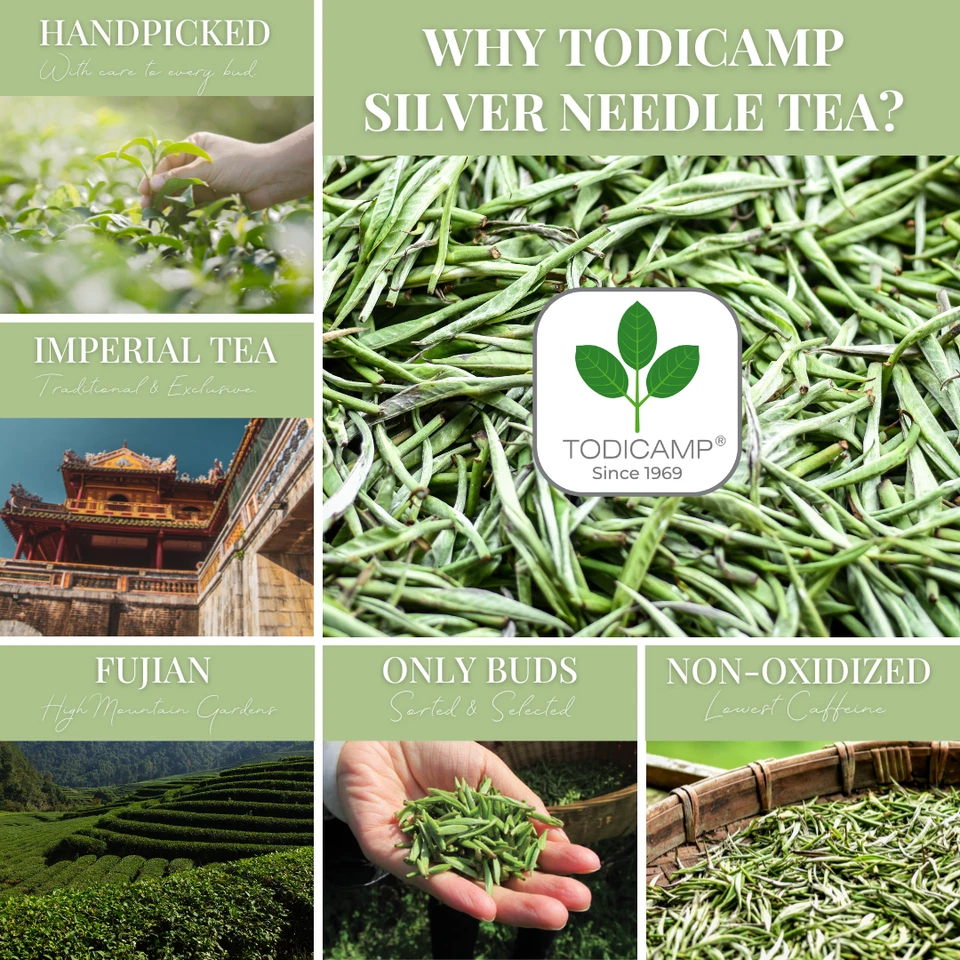 Té blanco TODICAMP té de aguja plateada - 3 OZ Foto 3 de 4