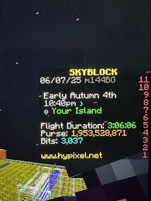 QUITTING GAME: 2+ BILLION Hypixel Skyblock Coins SEE DESCRIPTION