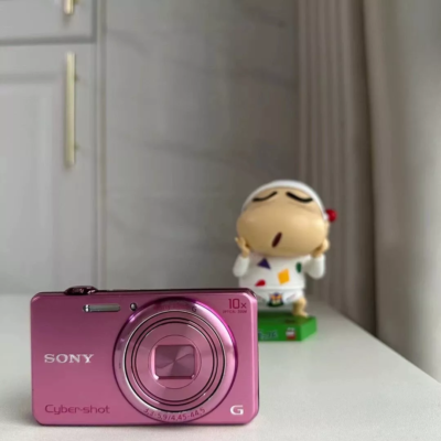 SONY Cyber-shot DSC-WX200 18.2 MP 10x Optical Zoom Digital Camera