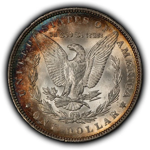 1889 $1 Morgan Silver Dollar - Colorful Rim Toning - BU - SKU-D7645