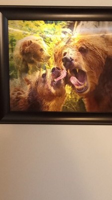 Framed Bear Nature Wildlife Scene Realism Art 3D Landscape 