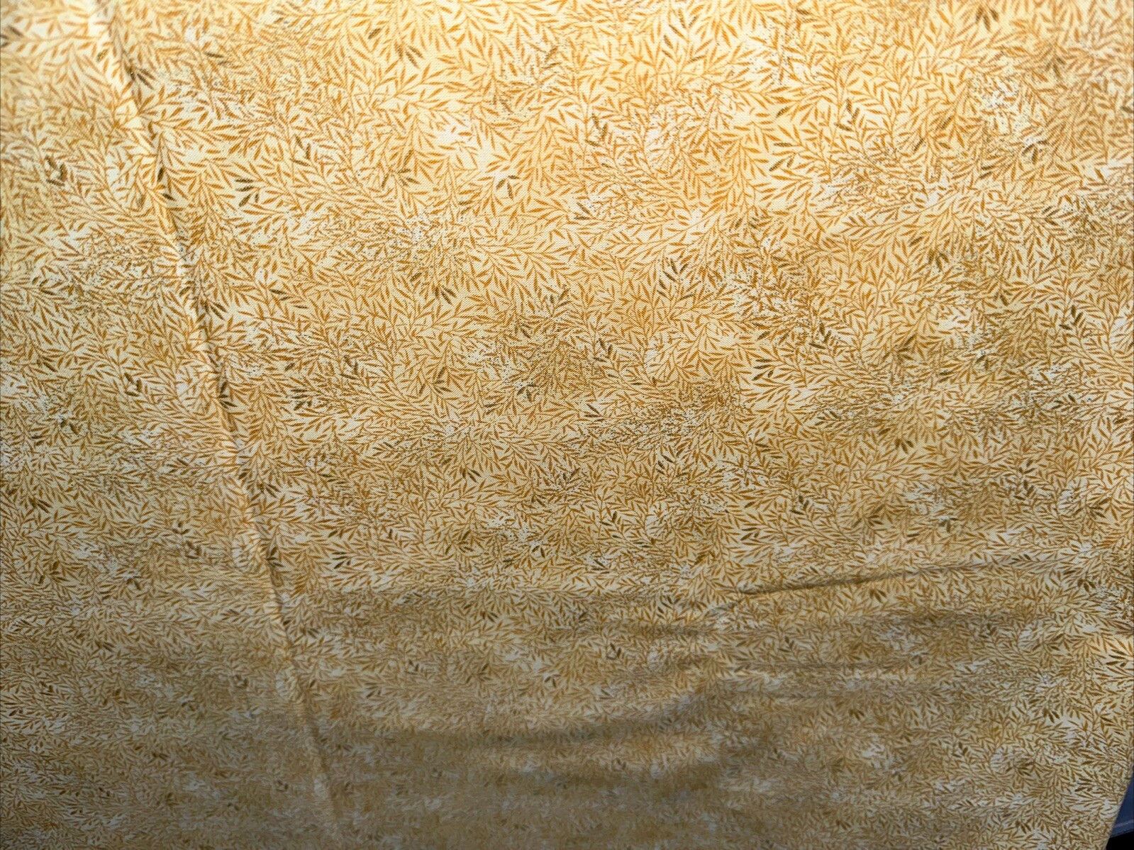 Picture 4 of 13