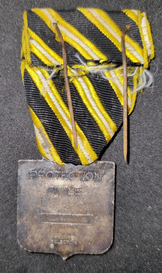 Médaille Française : Protection Civile - Photo 3/4