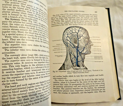 VG+ Human Anatomy and Physiology Millard King 1948 Antique Medical Book Illustra - Picture 16 of 18