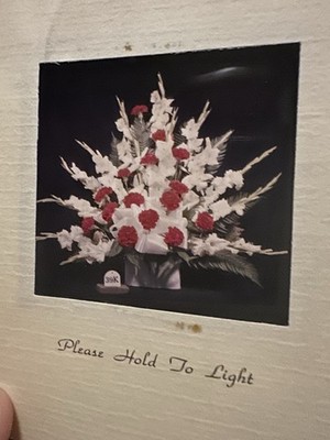 Canton, Oh - Sutton s Flower & Gift House Photon Negative Acknowledgement Card