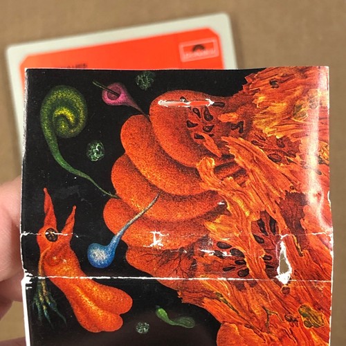 ARIK BRAUER SELF-TITLED Cassette Tape 1971 Rock Folk Rare - Picture 7 of 9
