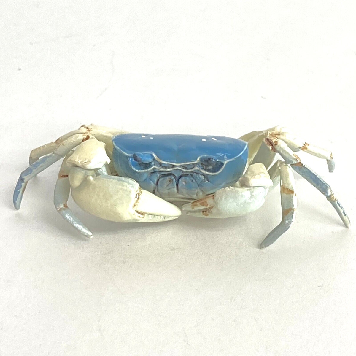 激レア　東シナ海産　本珊瑚付き　ベッコウガキ Nature Techni Colour Mini Figure Japanese Freshwater Crab