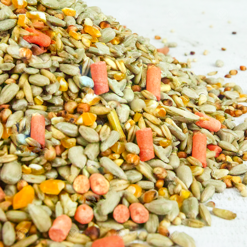 GardenersDream Premium Wild Bird Food - Year Round Garden Seed Feed Mix - Picture 6 of 20
