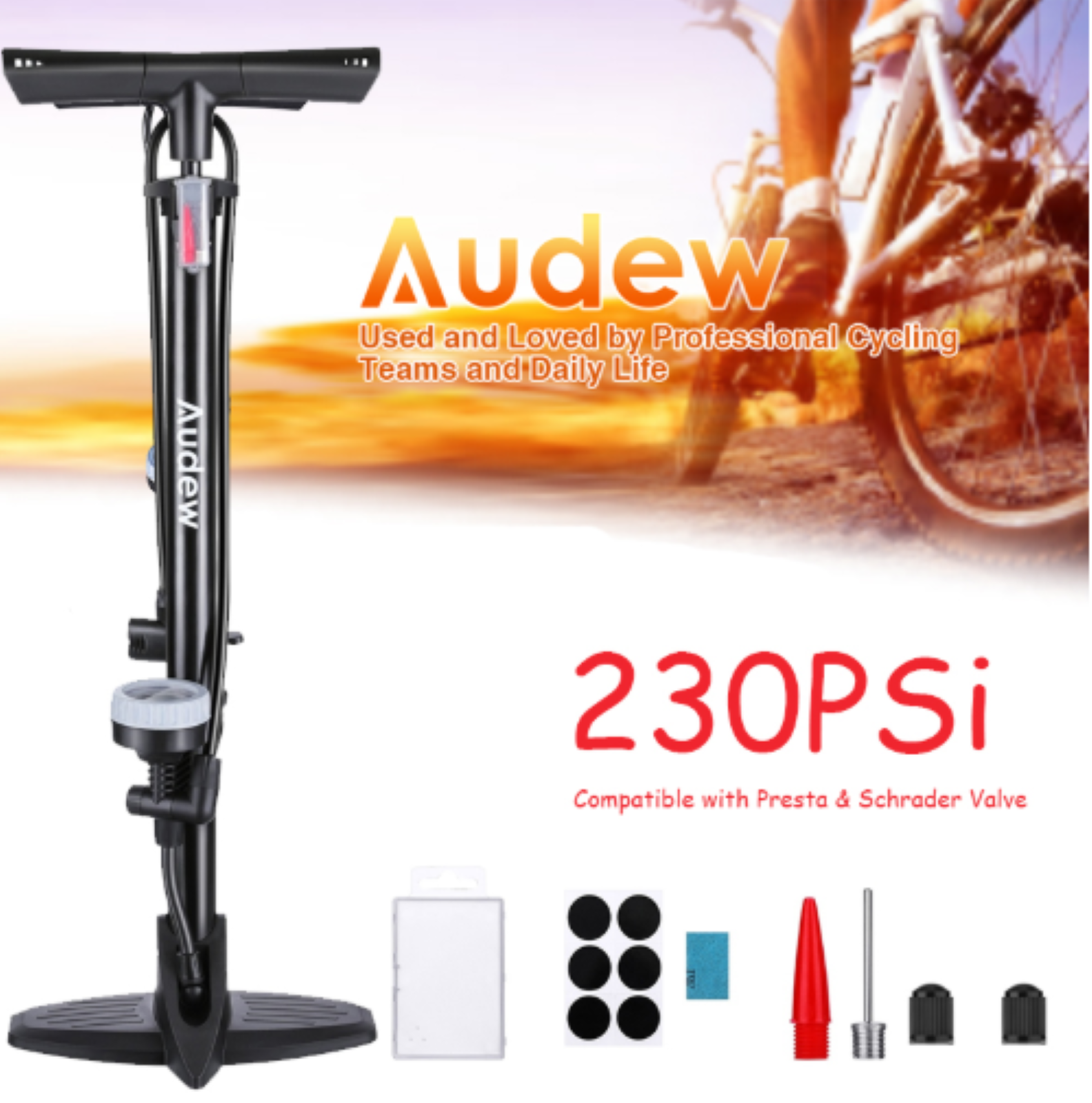 floor air pump