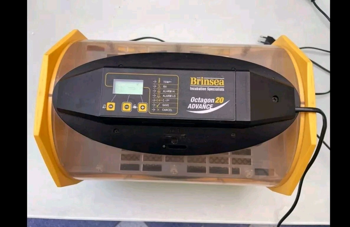 Incubadora Brinsea Octagon 20 1230z5