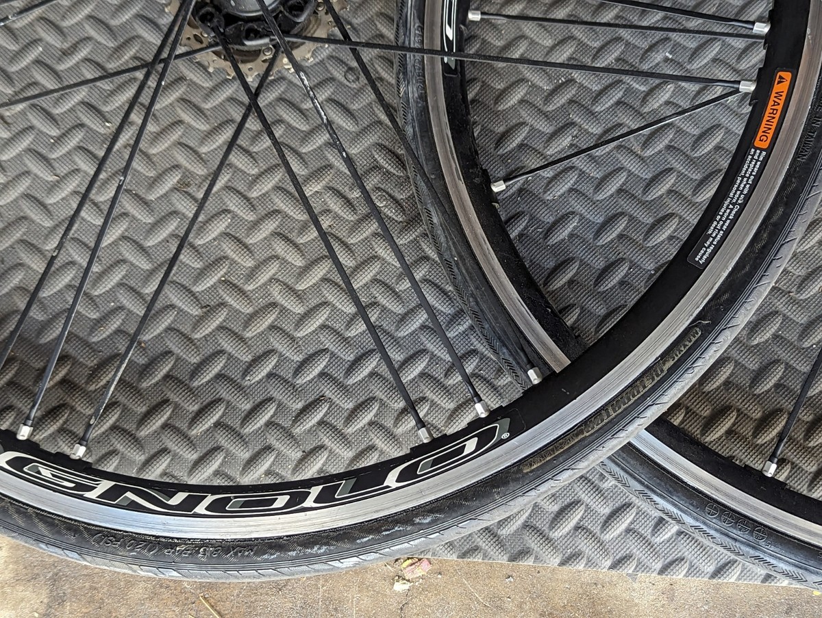 パーツ Final sale! Campagnolo Shamal Mille 15c mil-500___40186.1575144114.380