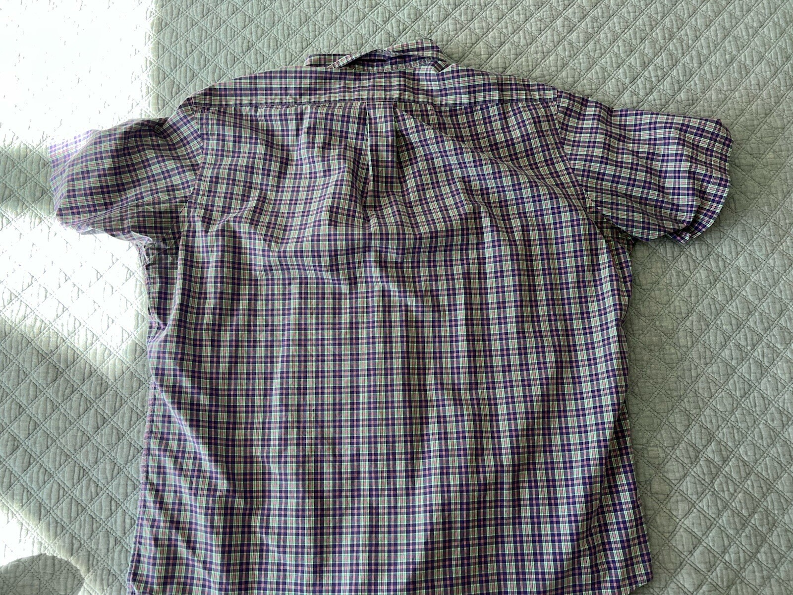 Picture 6 of 6