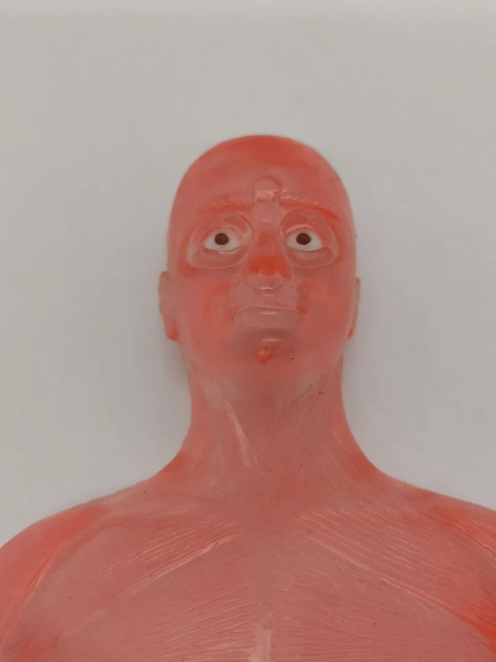 RICAMBIO Esplorando Il Corpo Umano  modellino anteriore uomo trasparente vintage - Immagine 3 di 3