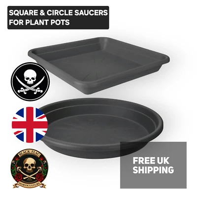 BLACK FLAG HORTICULTURE SAUCER DRIP TRAY for Plant Pots Plastic 1L5L10L15L20L Hydroponics Gardening