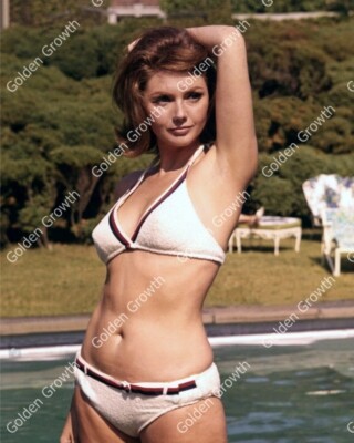 Sylva Koscina 8x10 Rare Photo