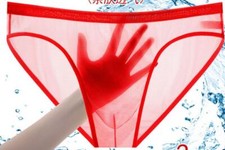 Mens Briefs Swimming Swim Shorts Trunks Beach Swimwear Sheer