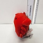 Foto 3 di 8