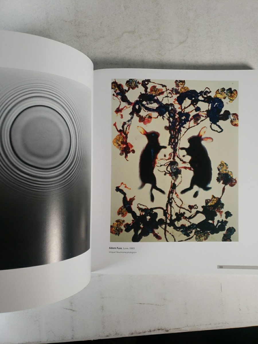 WHAT IS A Photograph? ハードカバー アート 洋書 英語版 WHAT IS A Photograph? ハードカバー アート 洋書 英語版 What Is a