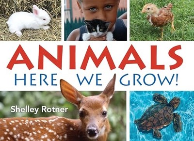 Animals! : Here We Grow by Shelley Rotner (2022, Trade Paperback)
