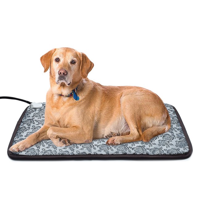 heated dog beds
