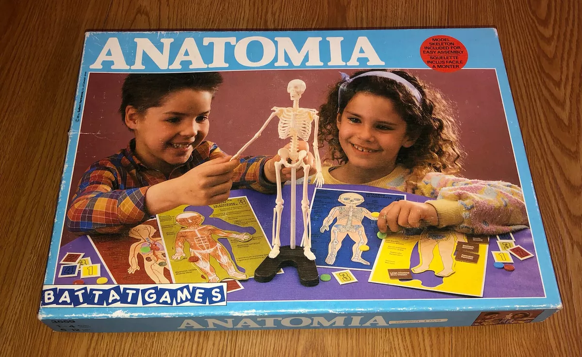 Vintage 1986 Anatomia Board Game Battat Games RARE Skeleton Model - COMPLETE