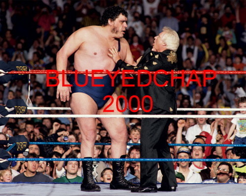 ANDRE THE GIANT & BOBBY HEENAN WRESTLER 8 X 10 WRESTLING PHOTO NWA
