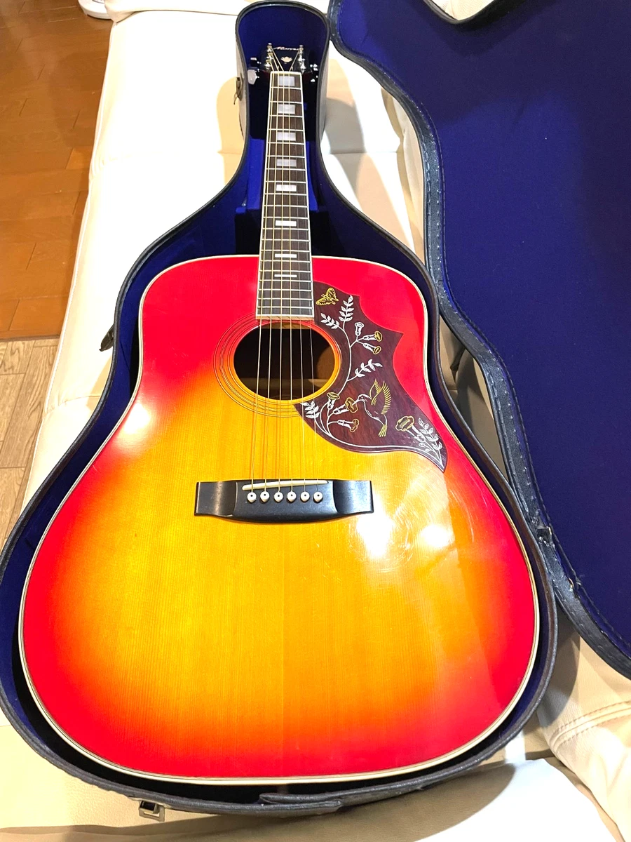 Morris 6 String Right-Handed Acoustic Guitars | eBay