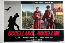 cm.50x70-UCCELLACCI E UCCELLINI-TOTO'-NINETTO DAVOLI-PASOLINI-DRAMMA-O15-20