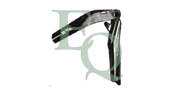ReißVerschluss, Motorhaube Motor C00171 Equal Quality FüR Peugeot-image