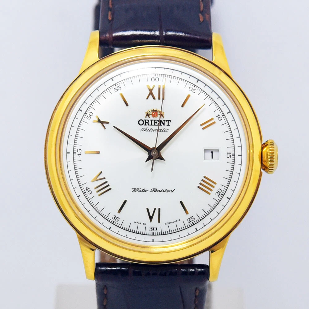 Used orient bambino discount