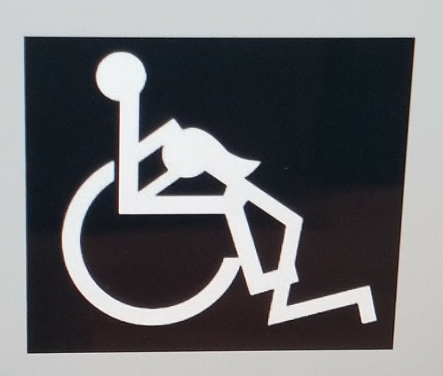 Vinyl window decals for car truck laptop tumbler toolbox funny sticker