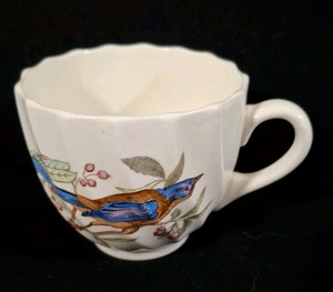 Vintage Spode American Birds California Jay 2 5/8" H Flat Cup England