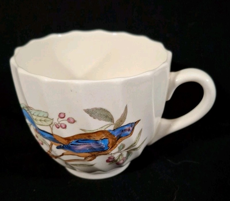 Vintage Spode American Birds California Jay 2 5/8" H Flat Cup England